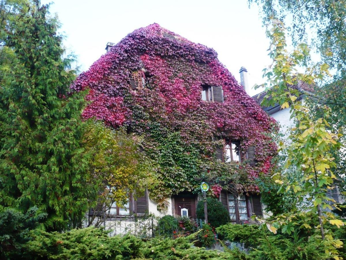 B&B De Charme La Maison Des 5 Temps Ferrette Bagian luar foto
