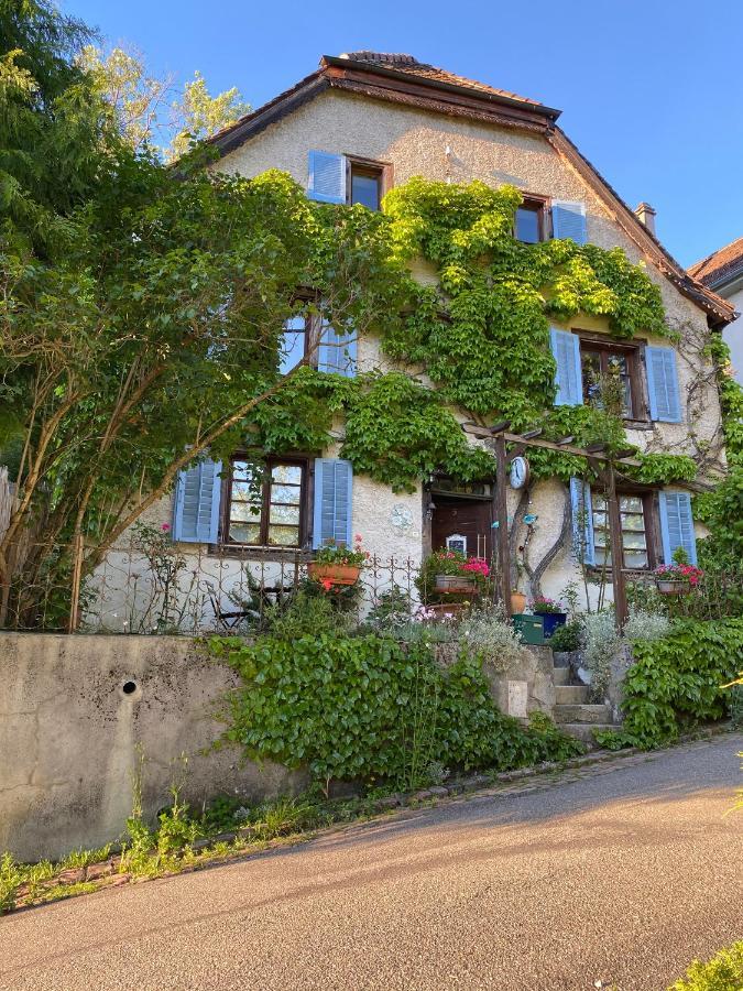 B&B De Charme La Maison Des 5 Temps Ferrette Bagian luar foto