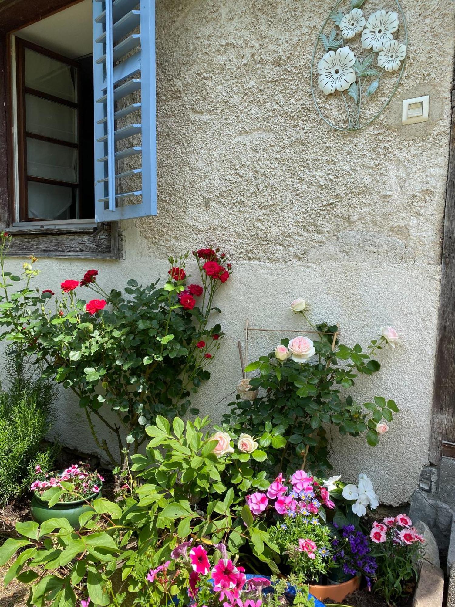 B&B De Charme La Maison Des 5 Temps Ferrette Ruang foto