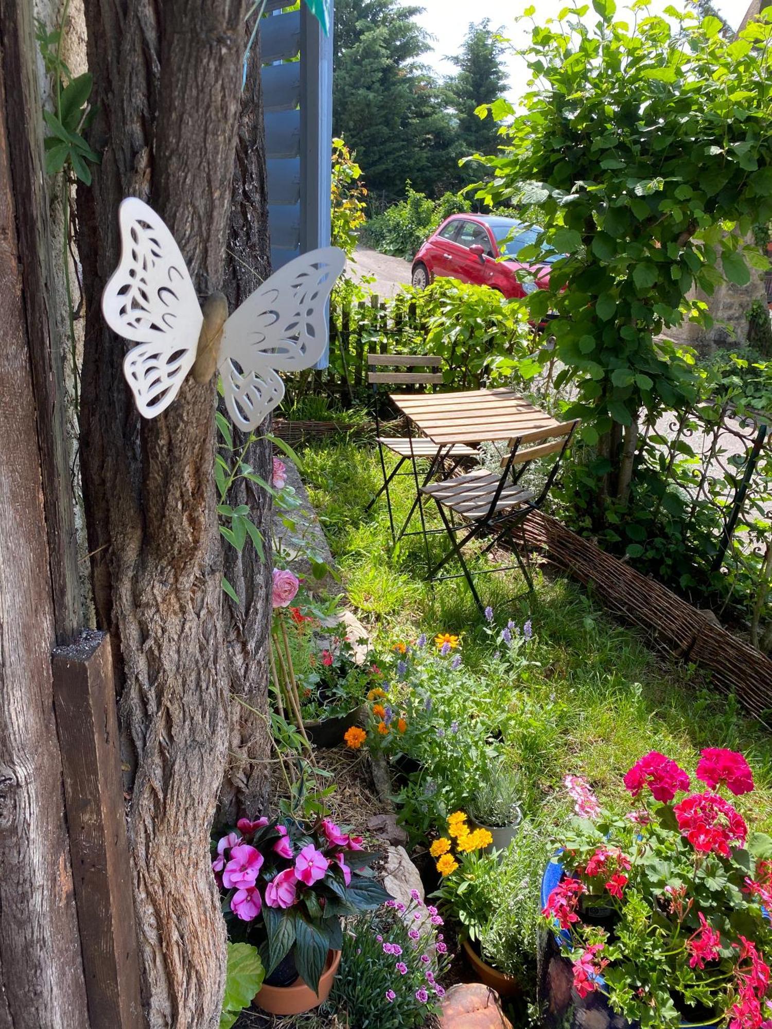 B&B De Charme La Maison Des 5 Temps Ferrette Ruang foto